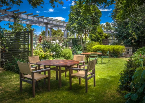 Backyard with dining table and green foliage.